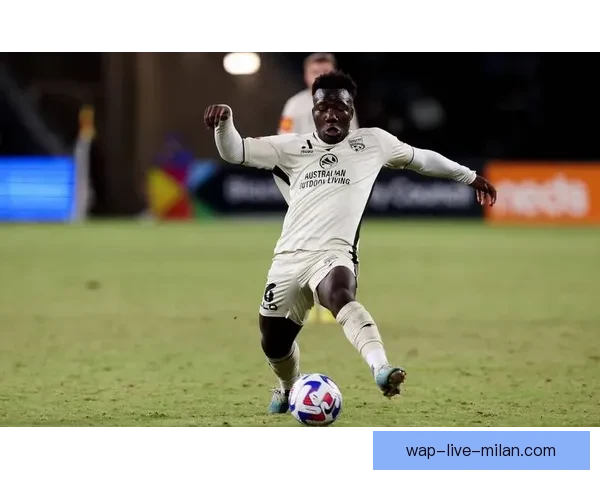 荷兰足球甲级联赛直播全解析焦点对决与实时看点豪门走势战术解读赛程